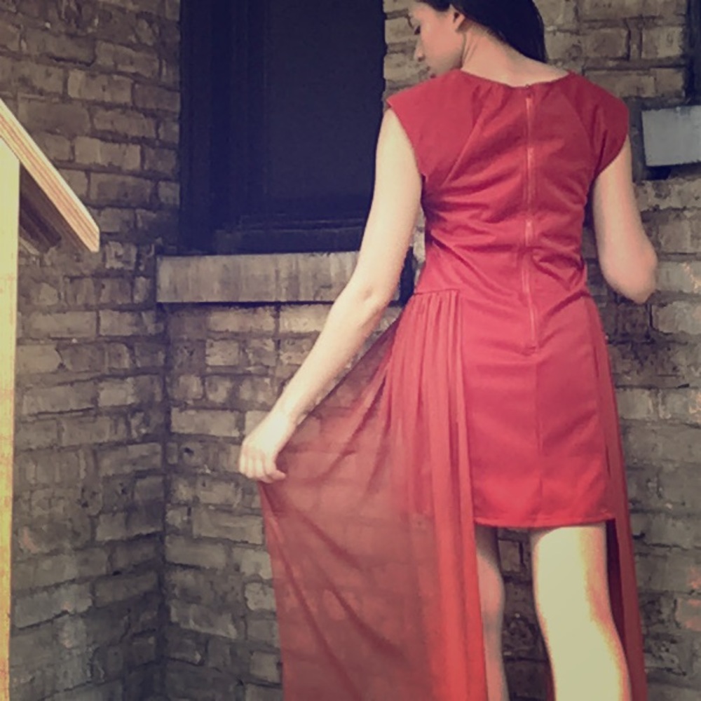 Rust Cocktail Dress - Picture 6 of 10